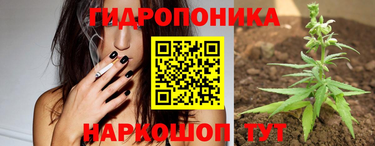 Шишки марихуана марихуана  Вход с VPN  Марихуана SATIVA & INDICA  Кунгур 